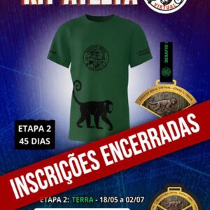 Inscrição Desafio Ideal Virtual - Etapa 2